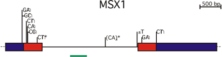 MSX1